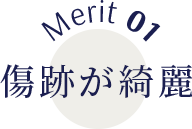 Merit01傷跡が綺麗