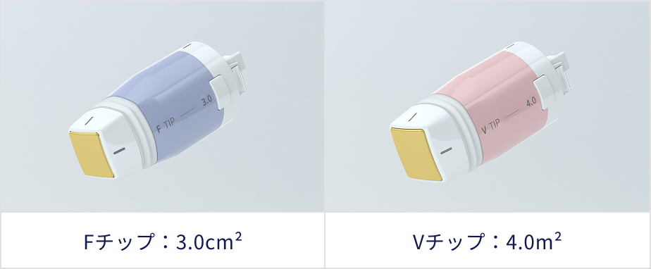 Fチップ：3.0㎠、Vチップ：3.0㎠